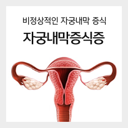 비정상적인 자궁내막 증식 자궁내막증식증