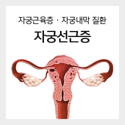 자궁근육층 · 자궁내막 질환 자궁선근증